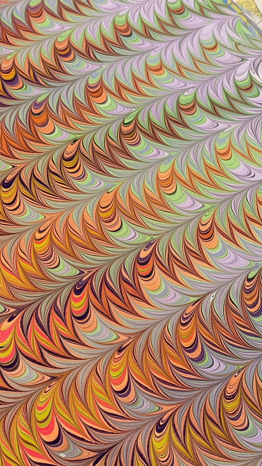 Feathered, orange on lavender