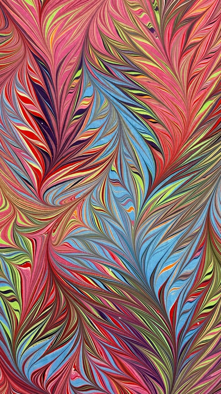Feathered, red and sky