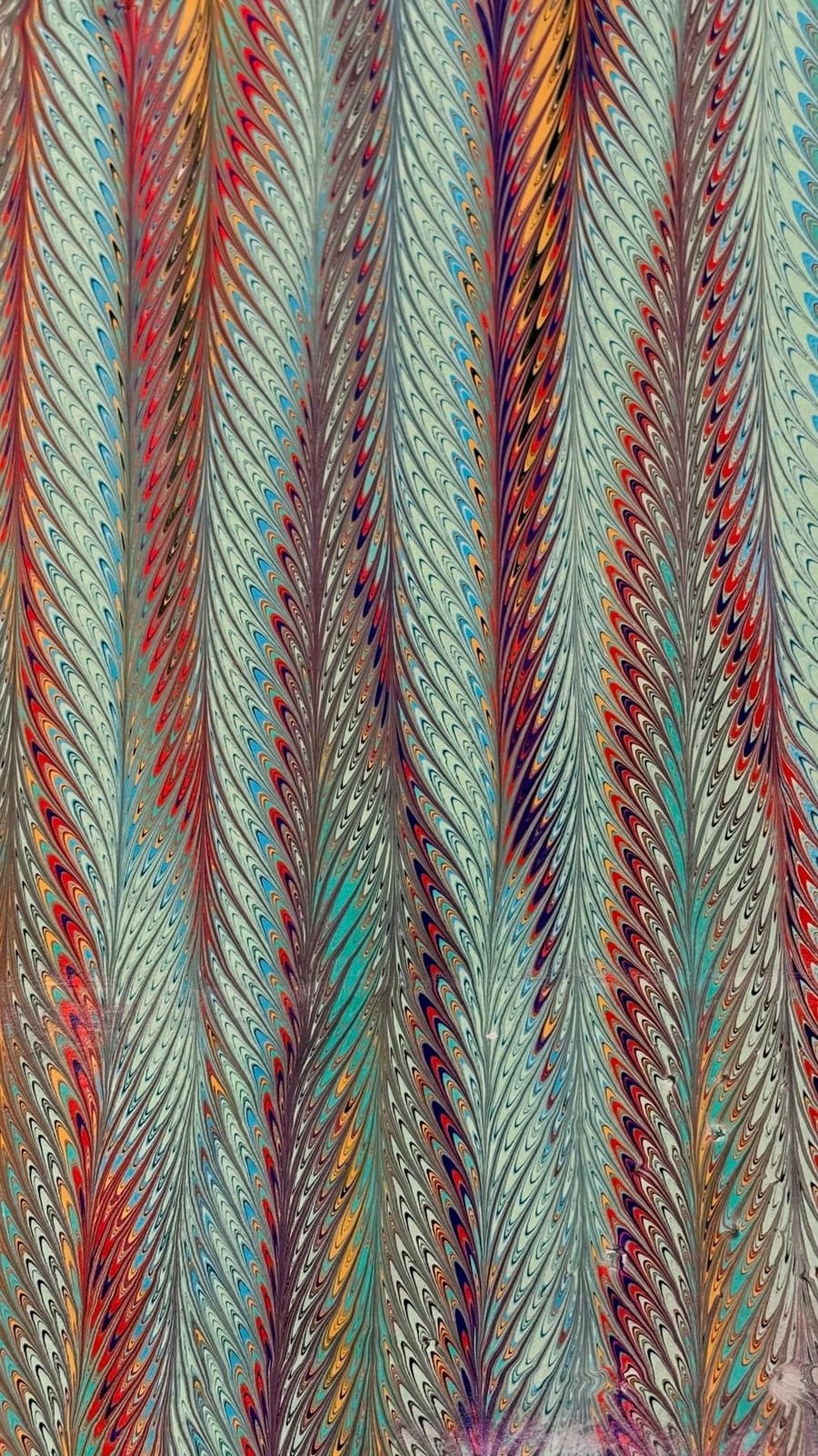 Aqua with red and gold comb